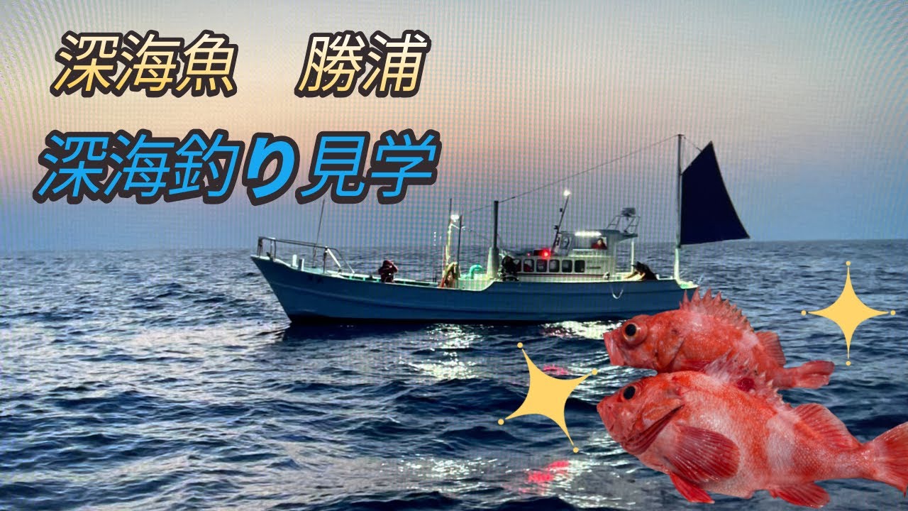 勝浦大宝丸深海釣り見学行って来ました Youtube