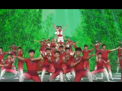 Kung fu kids at 2018 CCTV Children's Day Gala | CCTV English