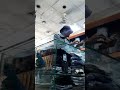 برنس تعز مقطع مضحك