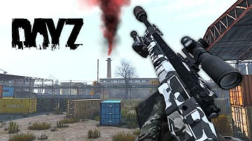 Is PvE in DayZ Actually Fun Now?