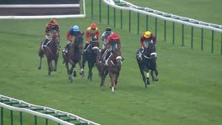 Vidéo de la course PMU PRIX BUCHEUR