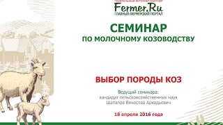 Выбор породы коз. Семинар по молочному козоводству. Выбор породы коз. Семинар по молочному козоводству.