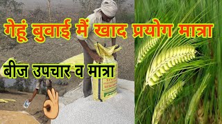 गेहूं बुवाई में फर्टिलाइजर प्रयोग मात्रा अच्छी उपज के लिएUse of Fertilizer in Wheat, फसल बंपर