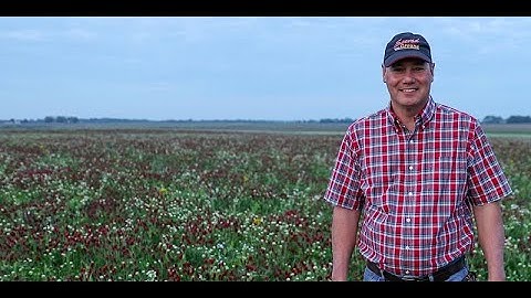 Rick Clark - Regenerative Farmer Spotlight