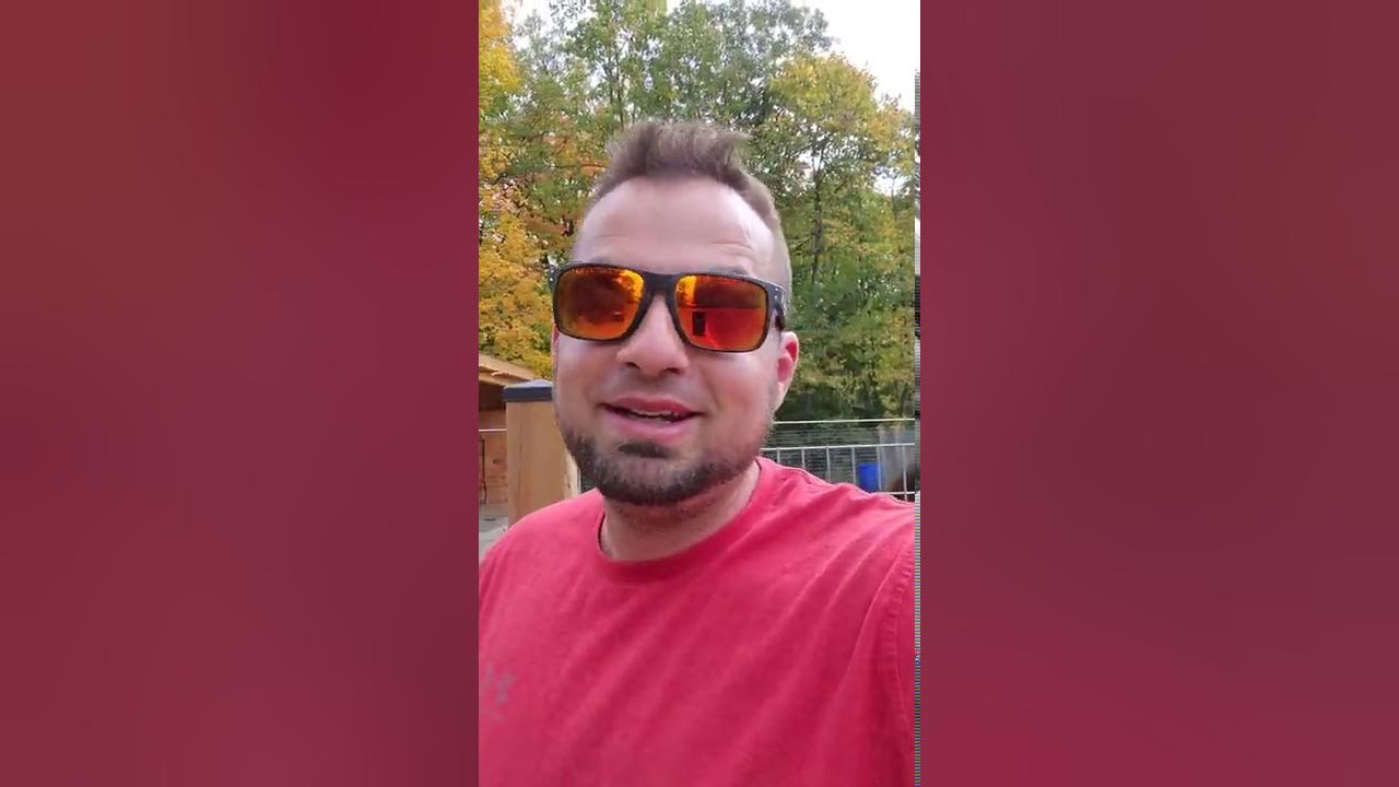 E Collar Training CREATES FEAR!? YouTube