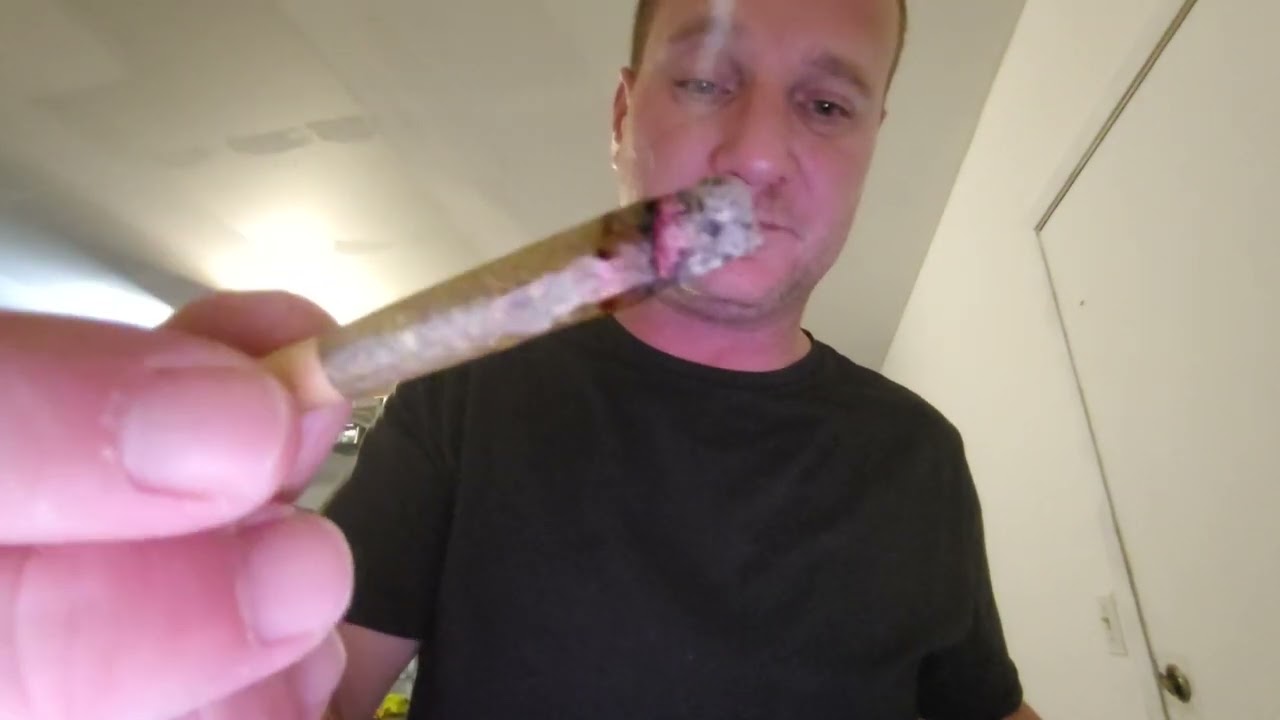 Gmo-Sherb by fig farm total thc is 38.01