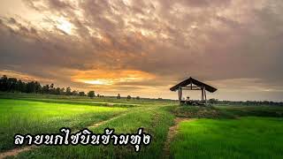 ลายนกไซบินข้ามทุ่ง