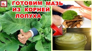 КОРНИ ЛОПУХА ПОМОГУТ ИЗБАВИТЬСЯ ОТ МНОГИХ БОЛЕЗНЕЙ. МАЗЬ ИЗ КОРНЕЙ ИЗБАВИТ ОТ БОЛЕЙ В СУСТАВАХ