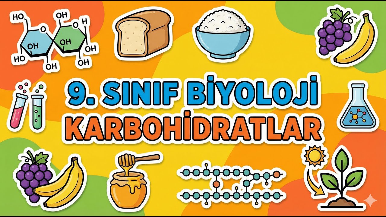 9. Sınıf Biyoloji | Karbohidratlar | Konu Anlatımı