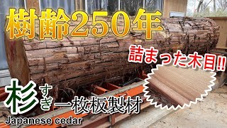 杉（すぎ）】樹齢250年の杉を製材してみた（製材） - YouTube