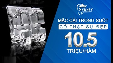 ƯU ĐIỂM CỦA MẮC CÀI PHA LÊ