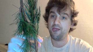 Charlie Brown Christmas Tree Unboxing + Building