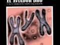 Aviador dro - Cromosomas salvajes