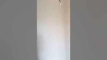 Avalon at Assembly Row - #227 1BD, 1BA (704 sq ft) RENOVATED