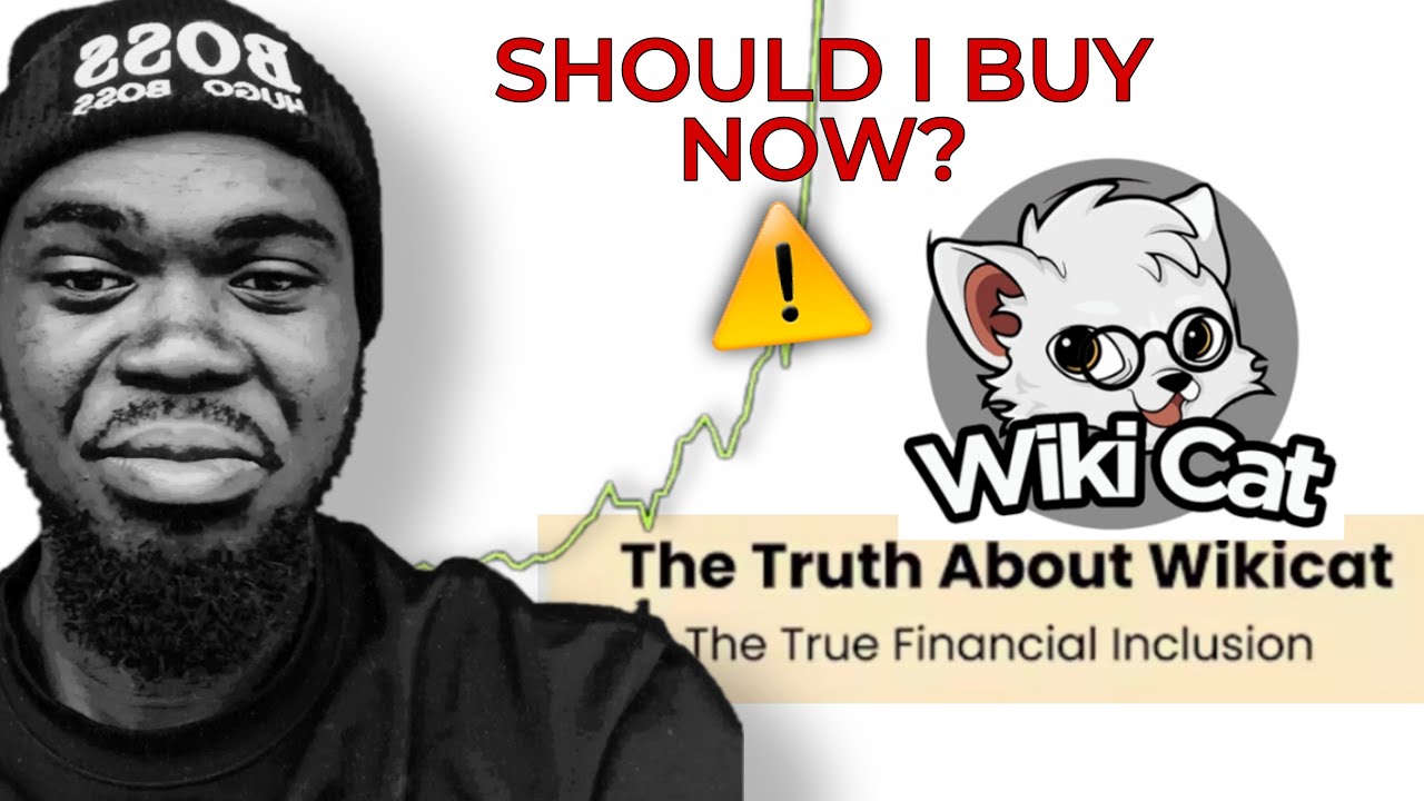 The truth about Wiki cat you need to know | watch before you buy 