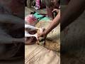 Goat leg cutting skills.
