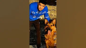 إن لله وإنا إليه راجعون الله يرحمك فارس الغالي 