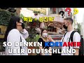 Was denken Koreaner über Deutsche?