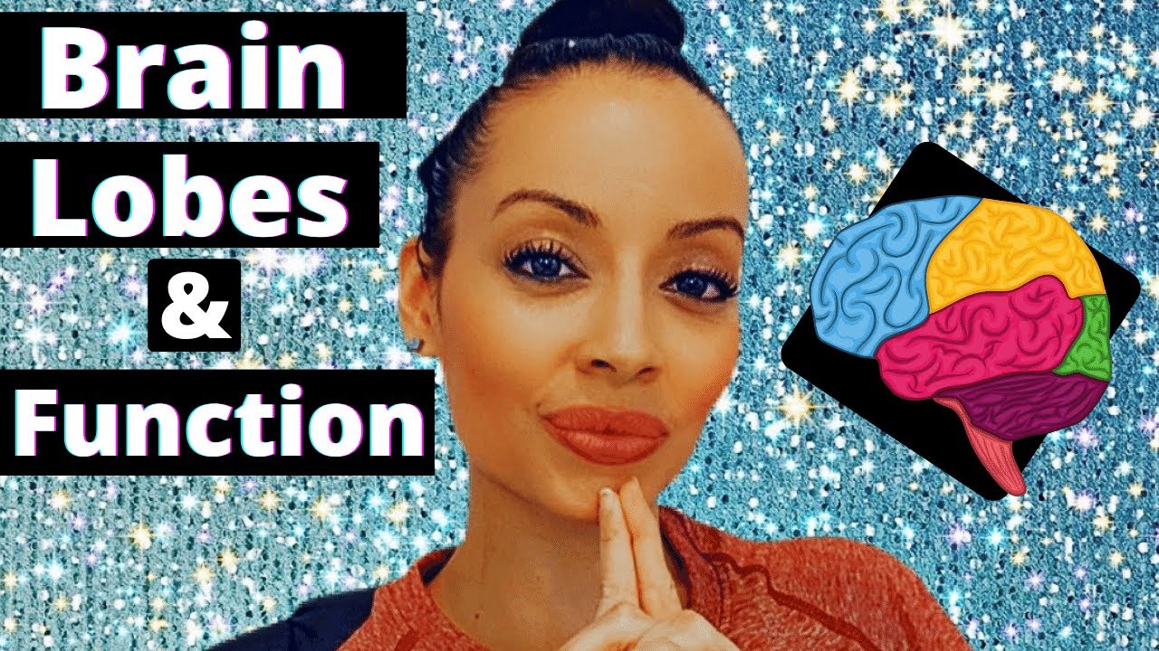 What Do the Different Parts of the Brain Control? - YouTube