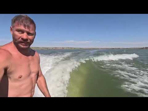 Learn how to wake surf 🏄‍♂️. As a 3yo-a adult