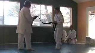 aikitaiji push hands techniques