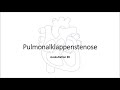 Auskultation #8: Pulmonalklappenstenose