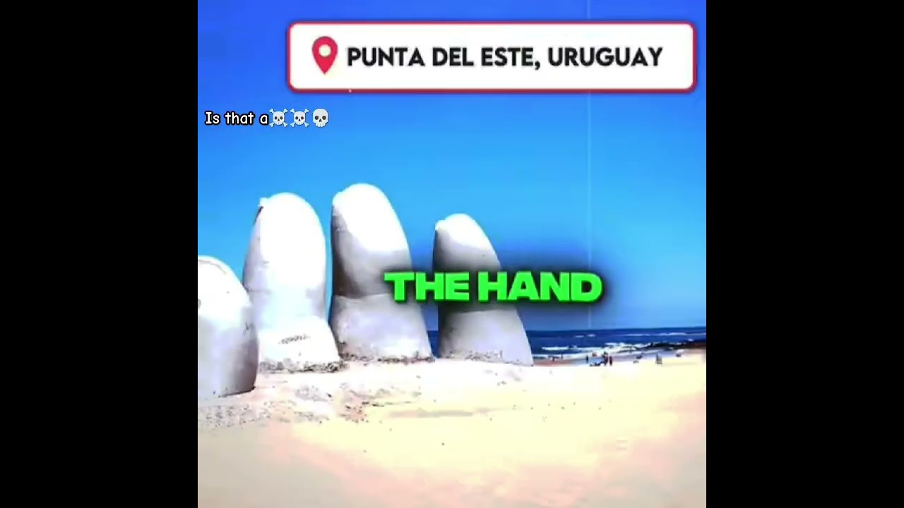 entertainment purpose only 