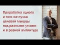 Разбор мифов из качалки. 2 Вебинар. Проработка одного и того же пучка целевой мышцыазной амплитуде