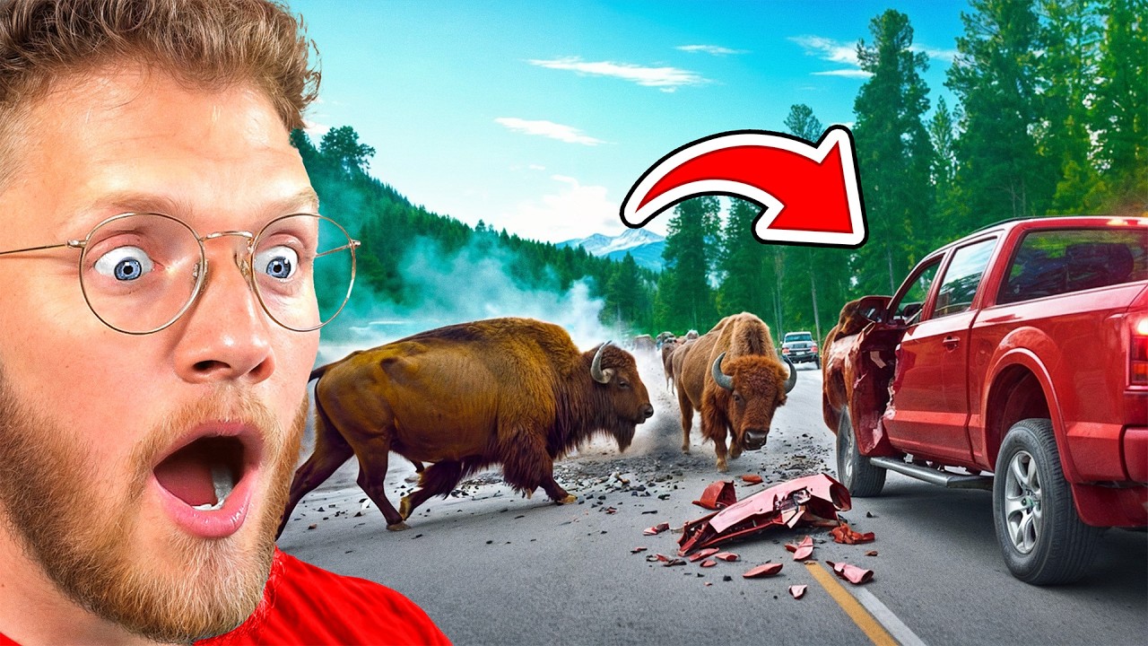 SCARIEST NATURE ENCOUNTERS CAUGHT on CAMERA!