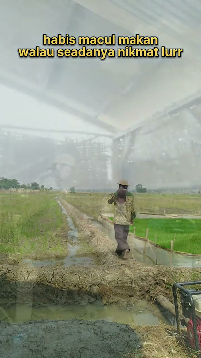 di sawah dulu guys☑️ #shorts #terbaru2023 #viral #video #memeviral #disawah #fyp