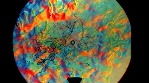 Vortex Ring Impact