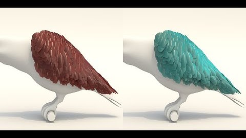 A Surface-based Appearance Model for Pennaceous Feathers (SIGGRAPH 2024 Fast Forward)