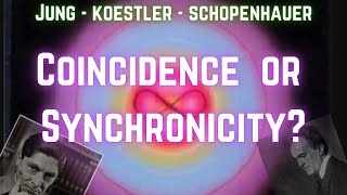 The Meaning of Coincidence | Synchronicity Documentary  | Puns of Destiny