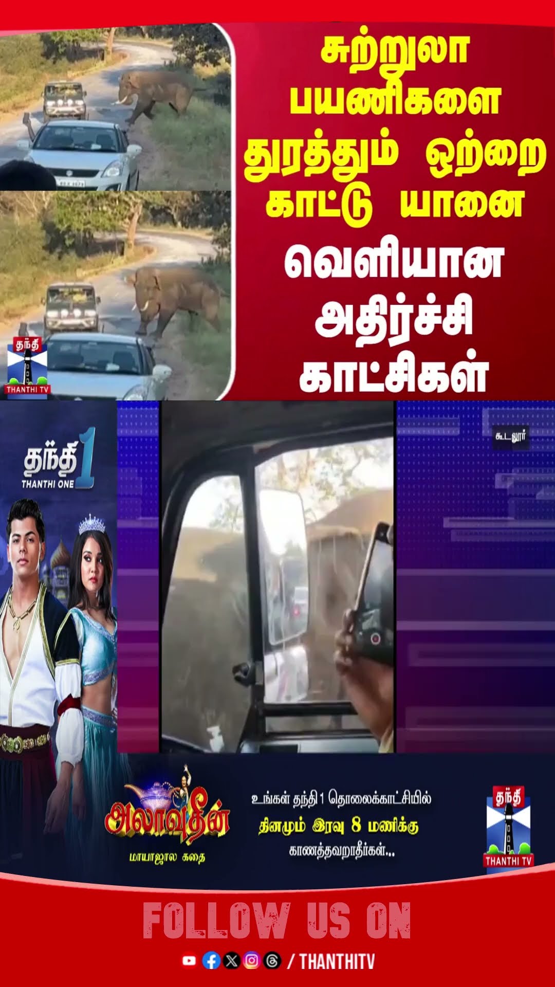 Elephant || Nilgiris ||Viral Video