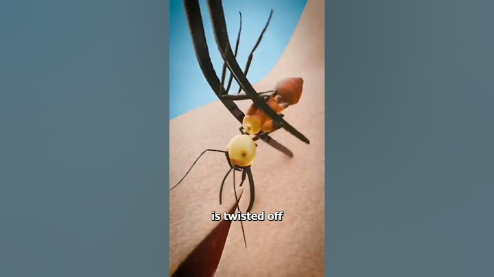 Using Ants To Stitch Wounds