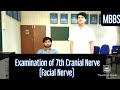 7th Cranial Nerve (Facial Nerve) Exam Guide | MUHS