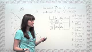 Microeconomics Practice Problem - The Market Impact of a Quantity Control