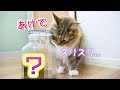 食後なのに◯◯を見て食欲が止まらない...