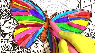 Coloring Butterfly Pages 3D Animal Fish & Dragon flies Color Book For Kids Toddlers | Zezo Mind screenshot 5