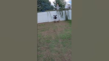 Outcast 8s EXB Fence Backflip