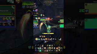Outlasting The Beast Mastery Pet Swarm With Preservation Evoker Echo Mastery Techniques