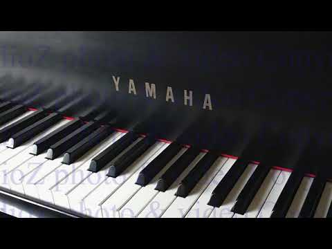 for-sale-1992-yamaha-c7-7.5ft-conservatory-grand-piano