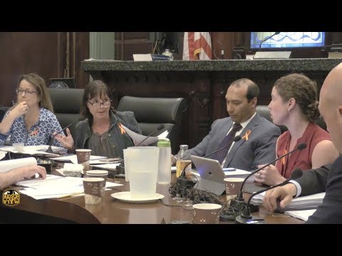 Hoboken City Council approves $117.6M budget with $642k in cuts, 1.7% tax increase