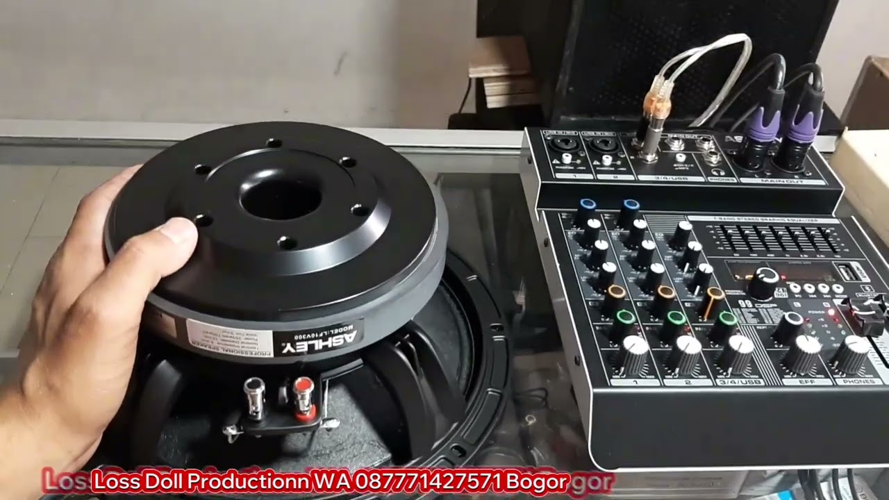 Speaker Ashley lf10v300 || speaker midle 10 inch