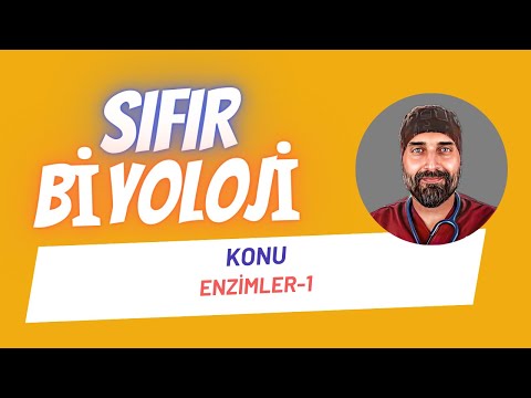 Enzimler-1 Sıfır Biyoloji | Dr. Biyoloji