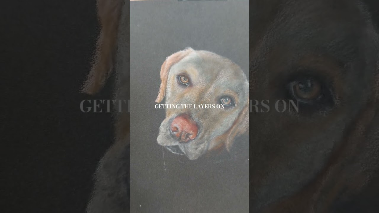 Pawtrait Progression - layers 