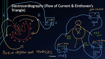 Electrical Technology: (ECG, EEG, EMG)