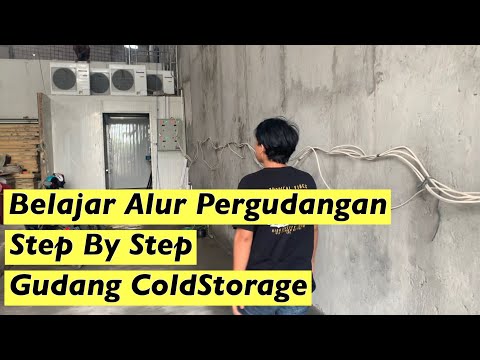 Belajar ILMU Pergudangan Penyimpanan Frozen Food di Cold Storage / Cool room