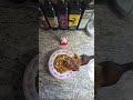 Lidi Fiery Chicken Curry Review Part 2 #frozendinners #indianfood