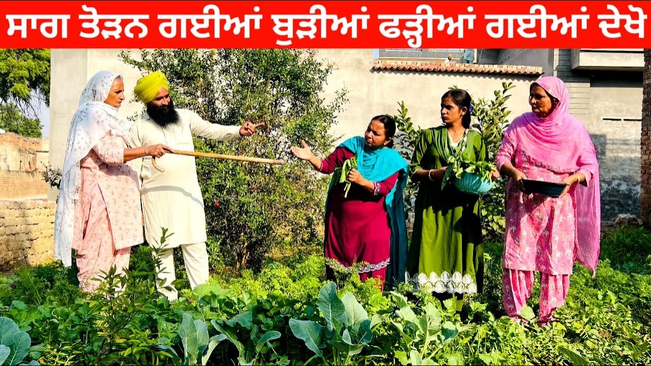 ਸਾਗ ਤੋੜਨ ਗਈਆਂ ਬੁੜੀਆਂ ਫੜ੍ਹੀਆਂ ਗਈਆਂ ਦੇਖੋ sag toran gyian burhian punjabi short video #sag #burhian 